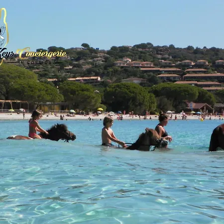Appartamento Cala Sultana N°83 T3 Rez De Jardin 4/6 Pers - 50m Santa Giulia