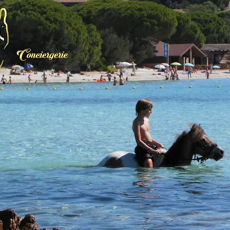 Cala Sultana N°83 T3 Rez De Jardin 4/6 Pers - 50m Santa Giulia