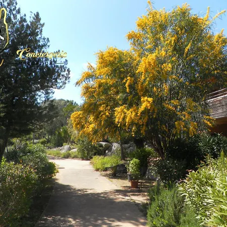 Cala Sultana N°83 T3 Rez De Jardin 4/6 Pers - 50m Santa Giulia * Porto-Vecchio (Corsica)